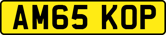 AM65KOP