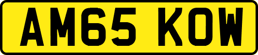 AM65KOW