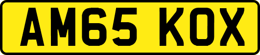 AM65KOX