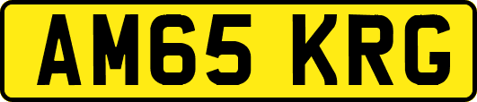 AM65KRG