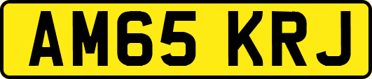 AM65KRJ