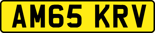 AM65KRV