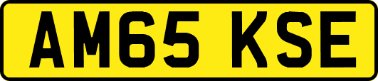 AM65KSE