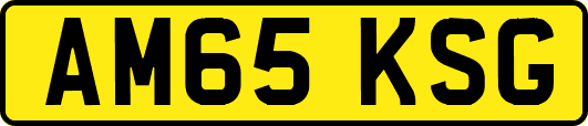 AM65KSG