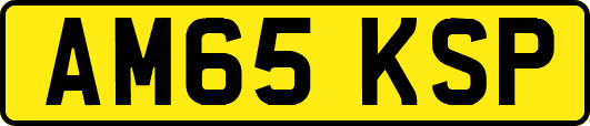 AM65KSP