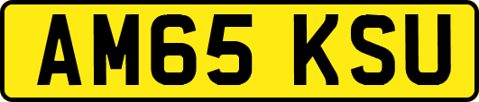 AM65KSU