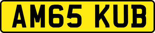 AM65KUB