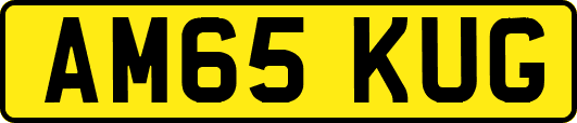 AM65KUG