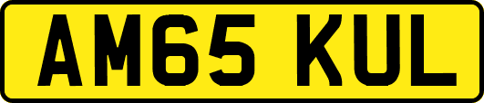 AM65KUL