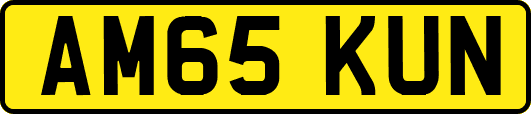 AM65KUN