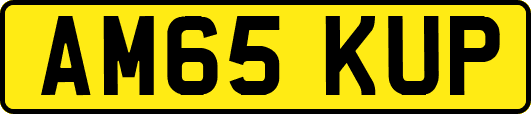 AM65KUP