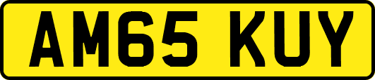AM65KUY
