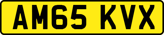 AM65KVX