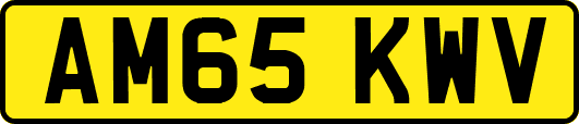 AM65KWV
