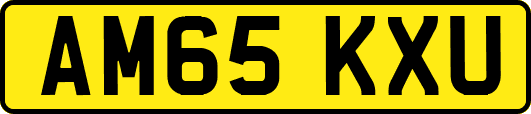 AM65KXU