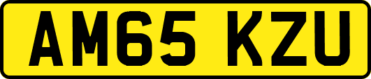 AM65KZU