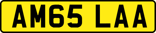 AM65LAA