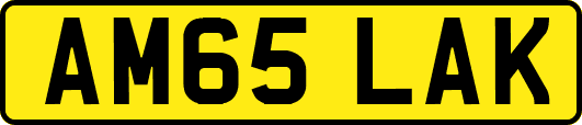 AM65LAK