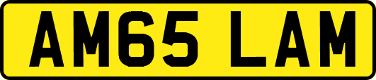 AM65LAM