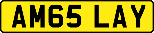 AM65LAY