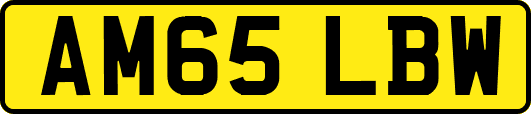 AM65LBW