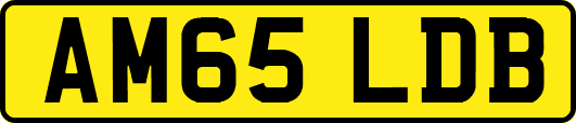 AM65LDB
