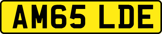 AM65LDE