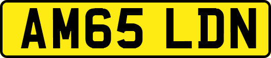 AM65LDN