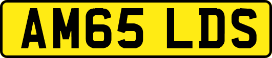AM65LDS