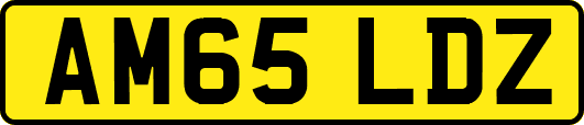 AM65LDZ
