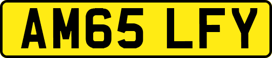 AM65LFY