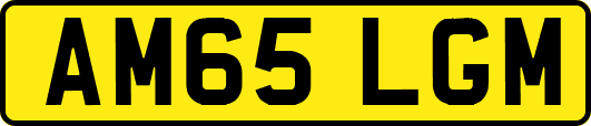 AM65LGM