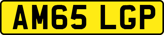 AM65LGP