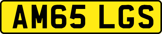 AM65LGS