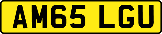 AM65LGU