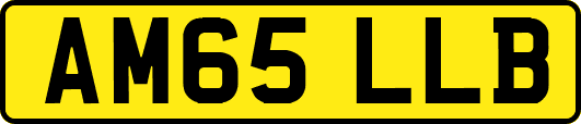 AM65LLB