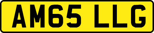AM65LLG