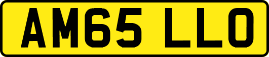 AM65LLO