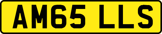 AM65LLS