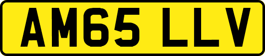 AM65LLV