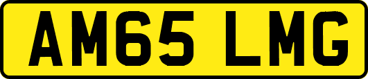 AM65LMG