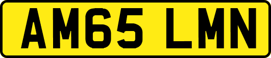 AM65LMN