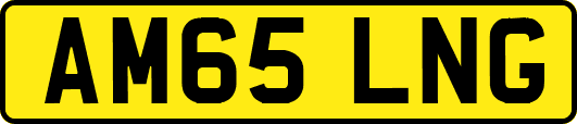 AM65LNG