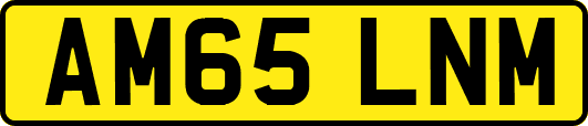 AM65LNM