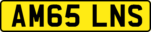 AM65LNS