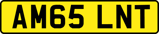 AM65LNT
