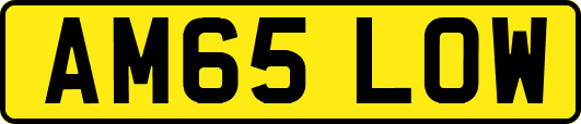 AM65LOW