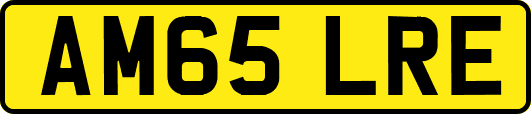 AM65LRE