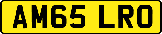 AM65LRO
