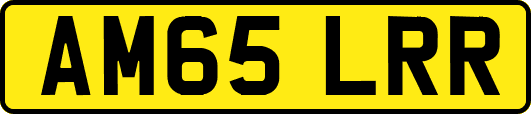 AM65LRR